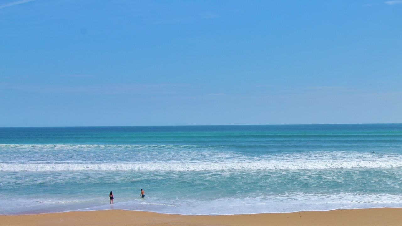 Photo of Others in New Smyrna Beach