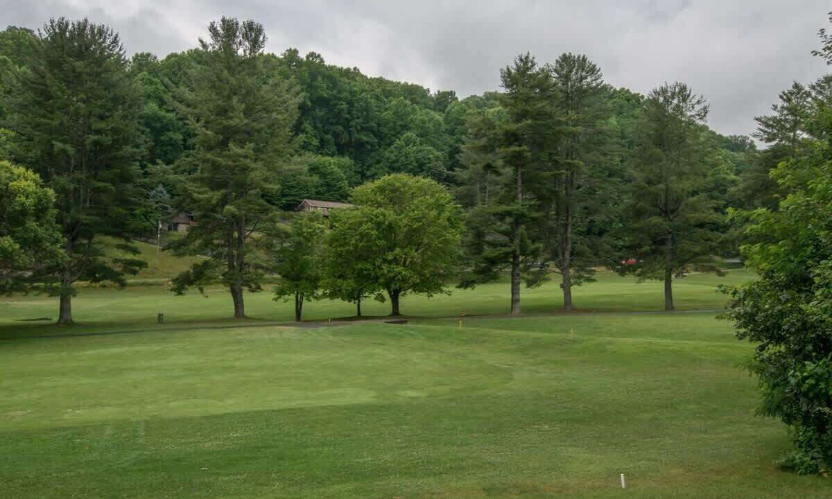 Photo of Others in Maggie Valley
