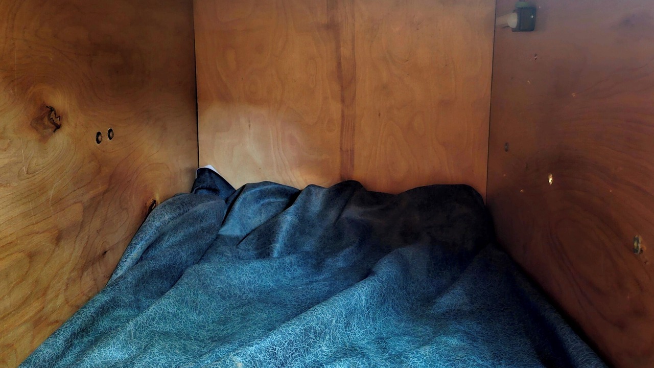 Photo of Bedroom in White Pine