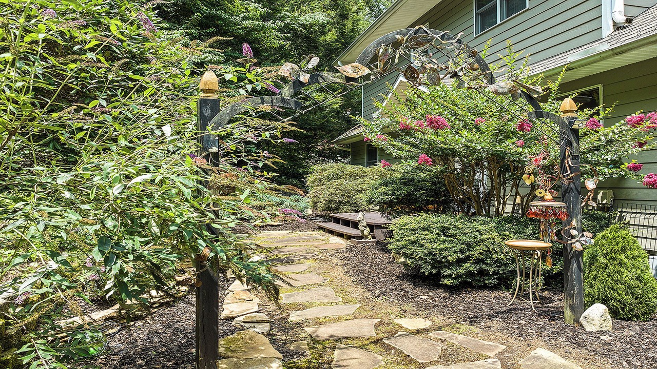 Photo of Outdoor in Mountain Springs