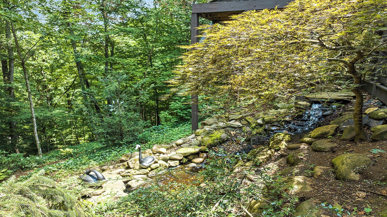 Photo of Outdoor in Mountain Springs