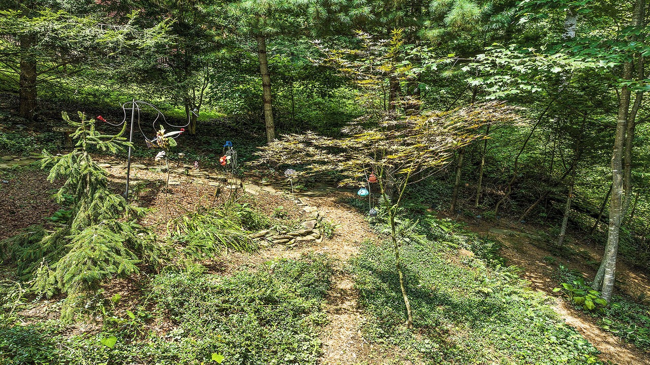 Photo of Others in Mountain Springs