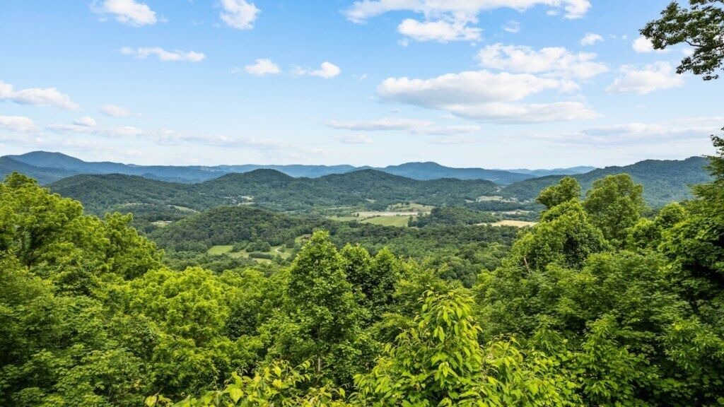 Photo of Others in Waynesville