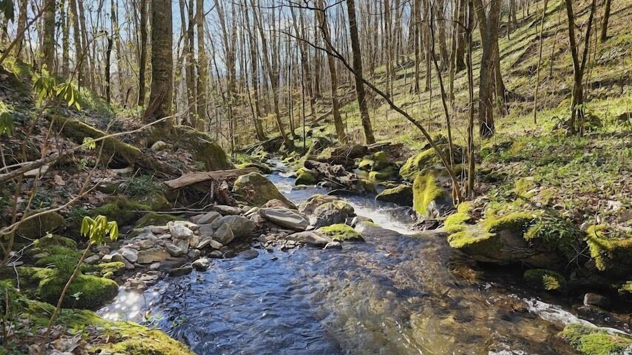 Photo of Others in Waynesville