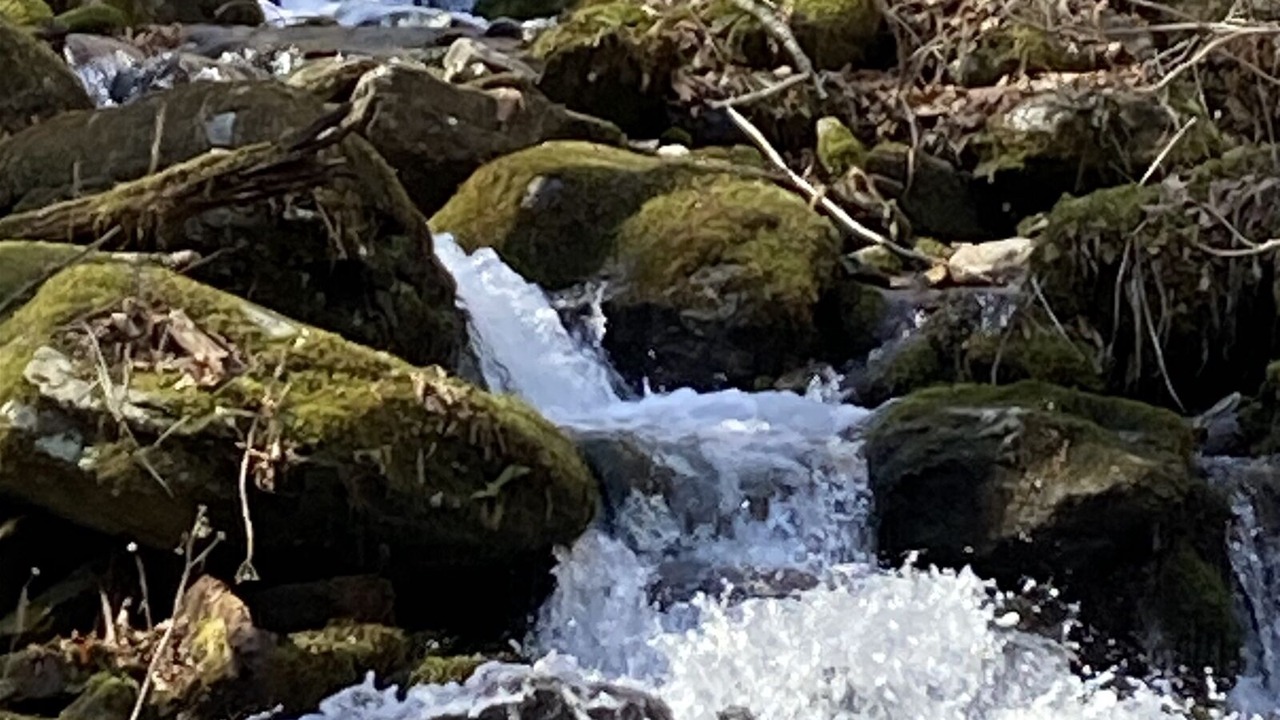 Photo of Others in Waynesville