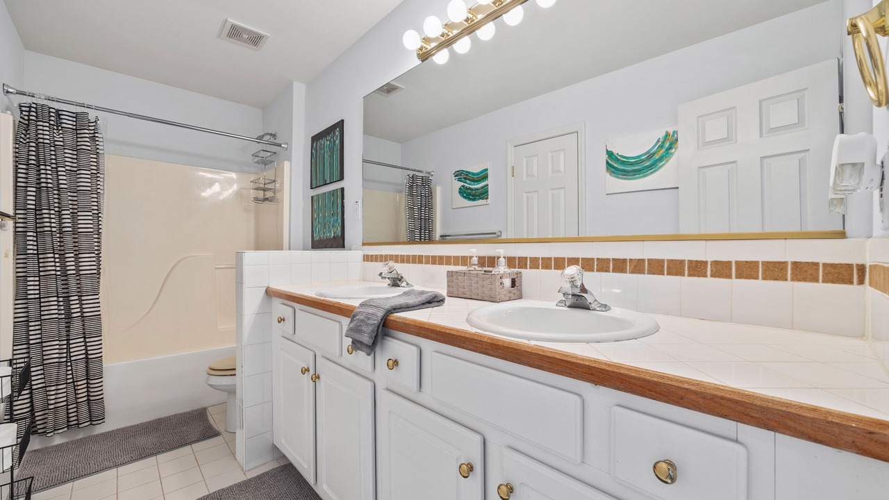 Photo of Bathroom in Panthersville