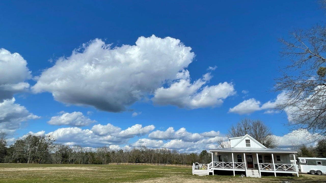 Photo of Outdoor in South Carolina Lakes & Blackwater Rivers