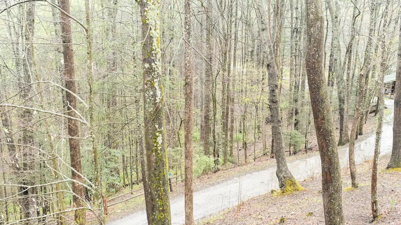 Photo of Bedroom in Waynesville