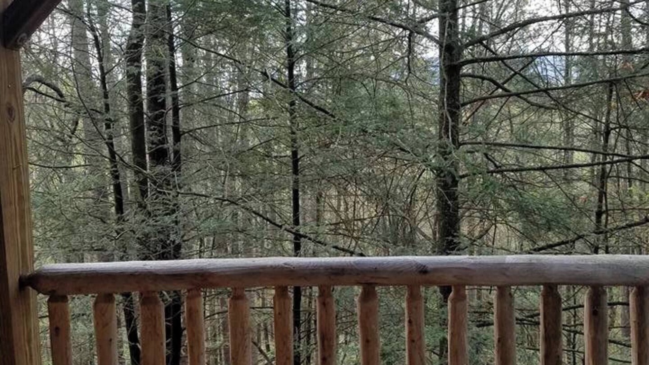 Photo of Outdoor in Waynesville