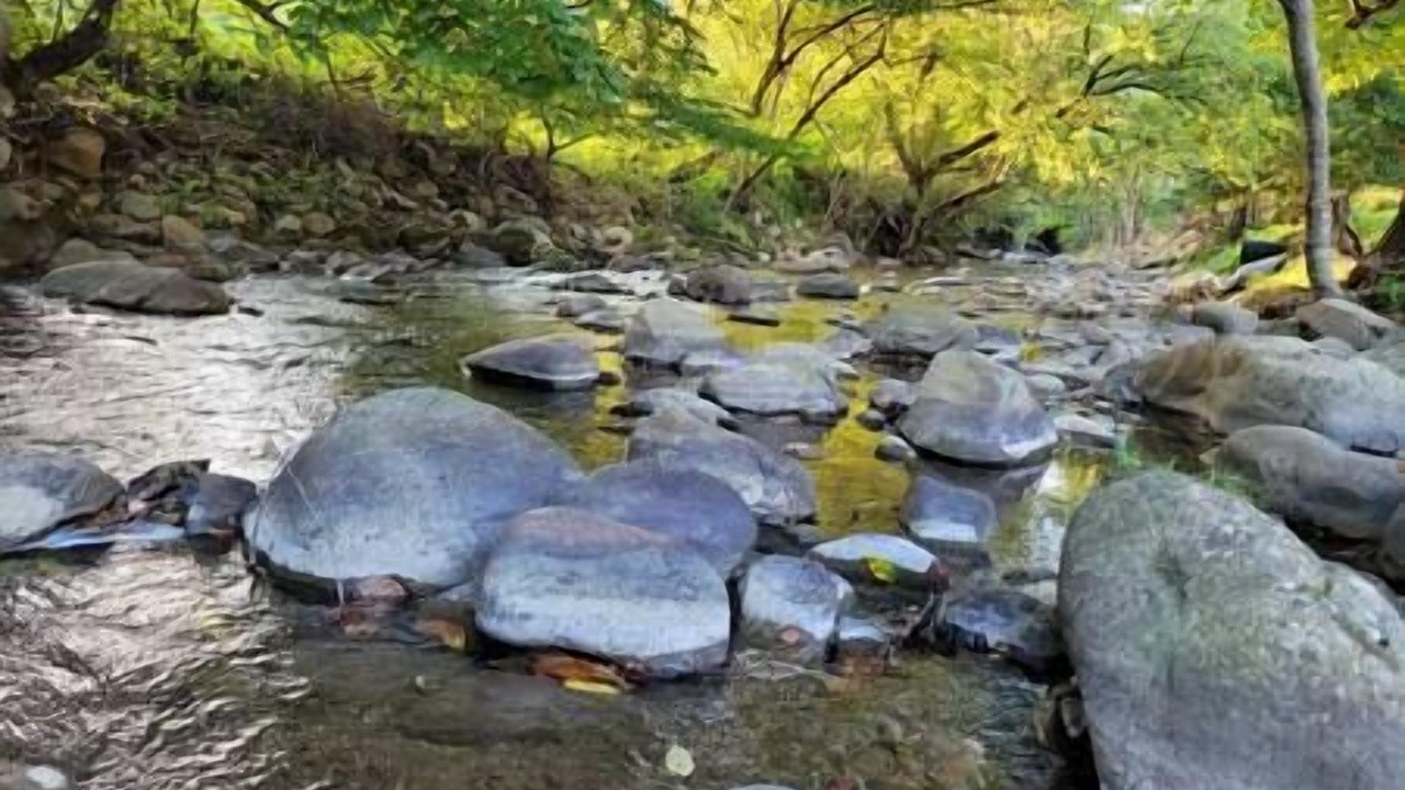 Photo of Others in Del Rio