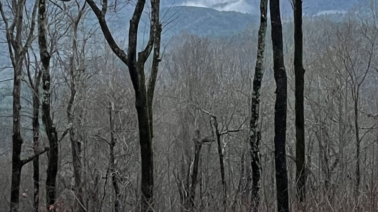 Photo of Others in Marietta