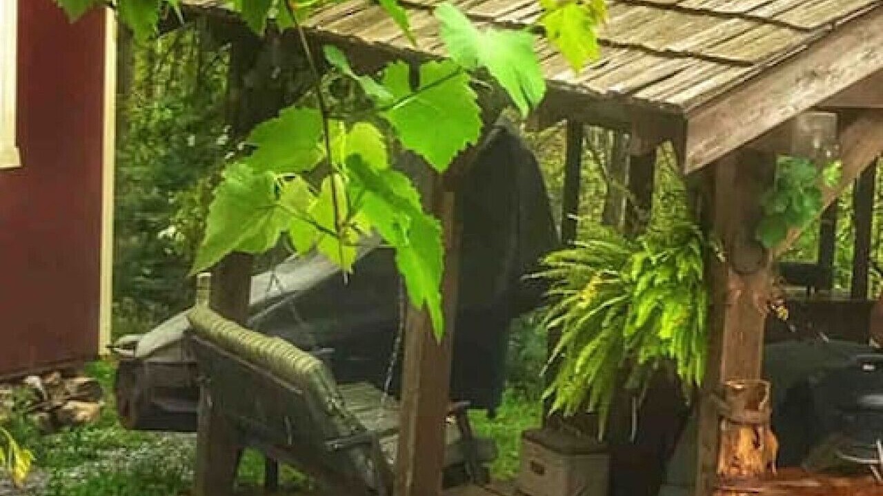Photo of Outdoor in Newport