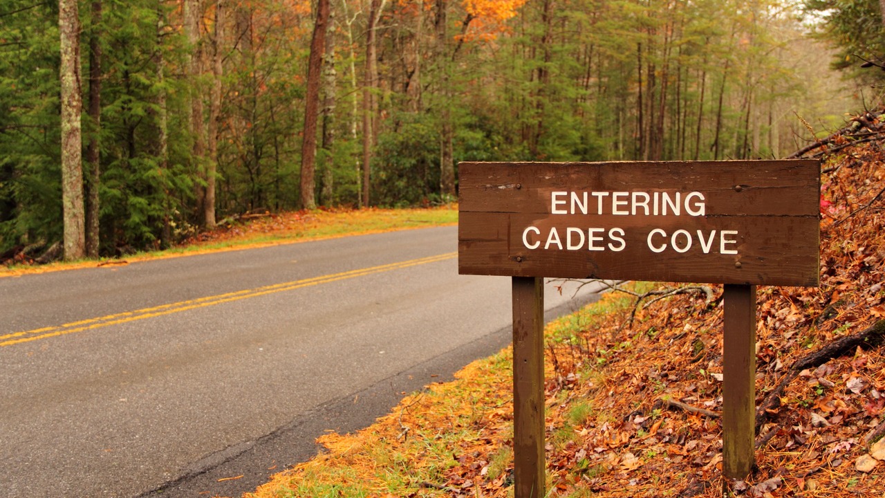 Photo of Outdoor in Cosby