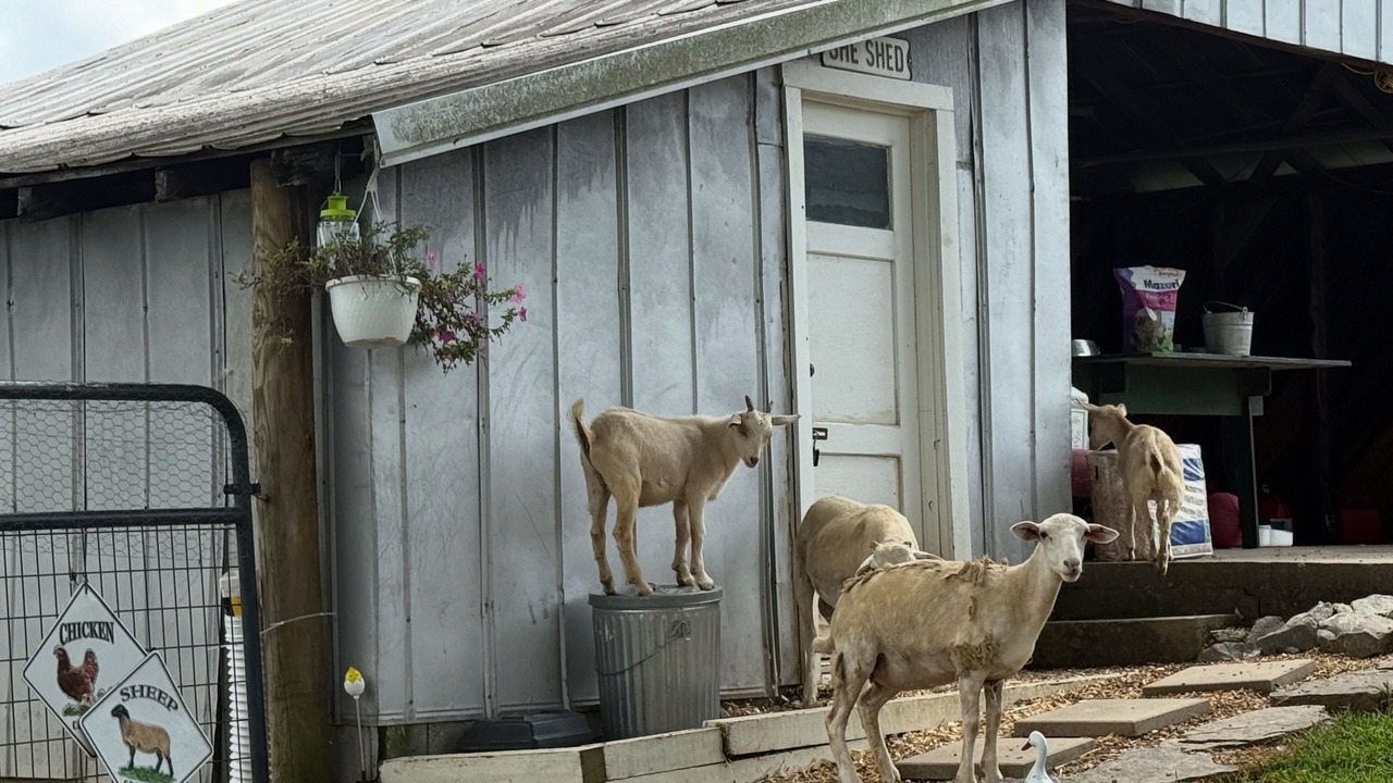 Photo of Others in Cullman