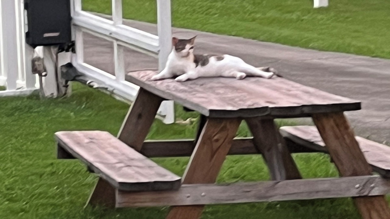 Photo of Outdoor in Cullman