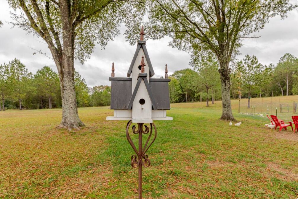 Photo of Outdoor in Cullman