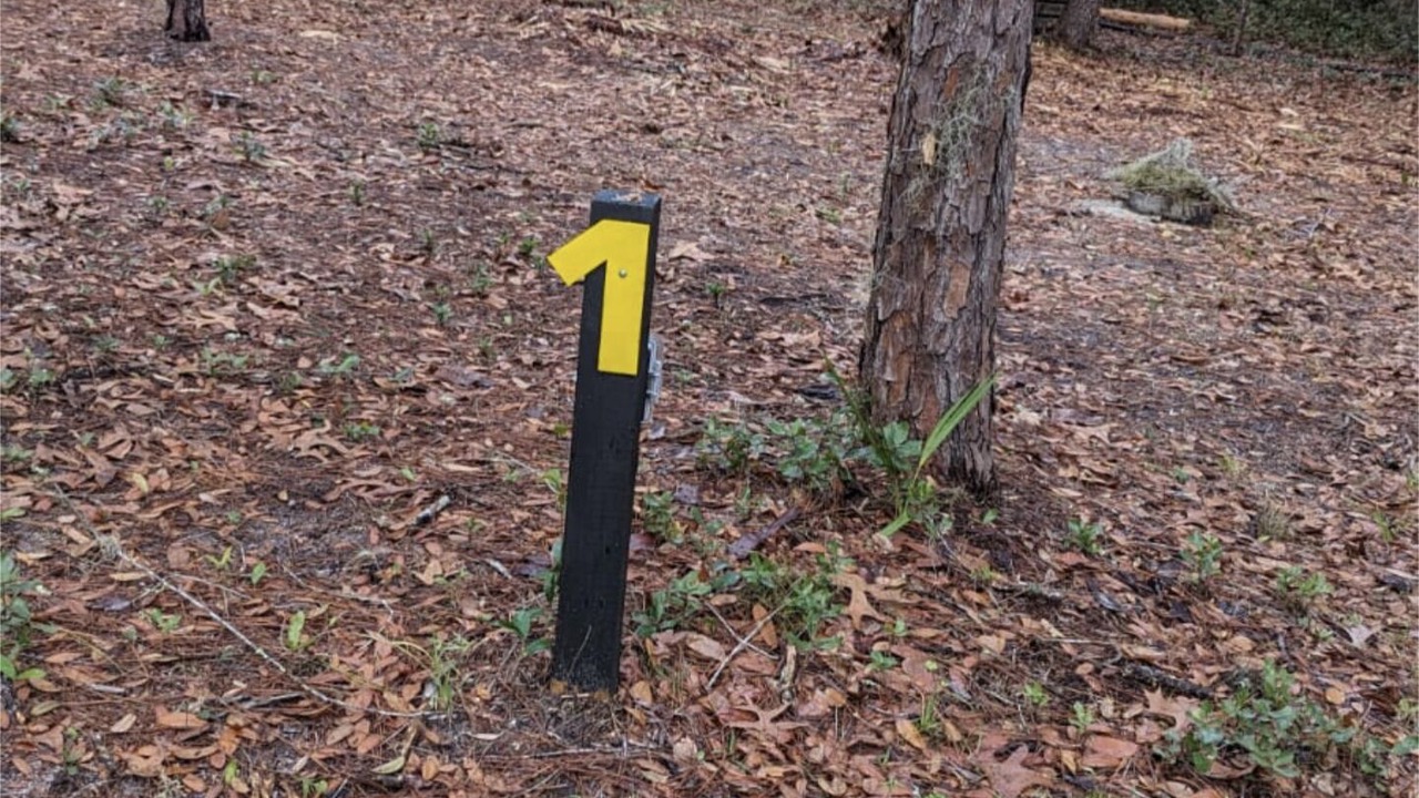 Photo of Outdoor in Edgar