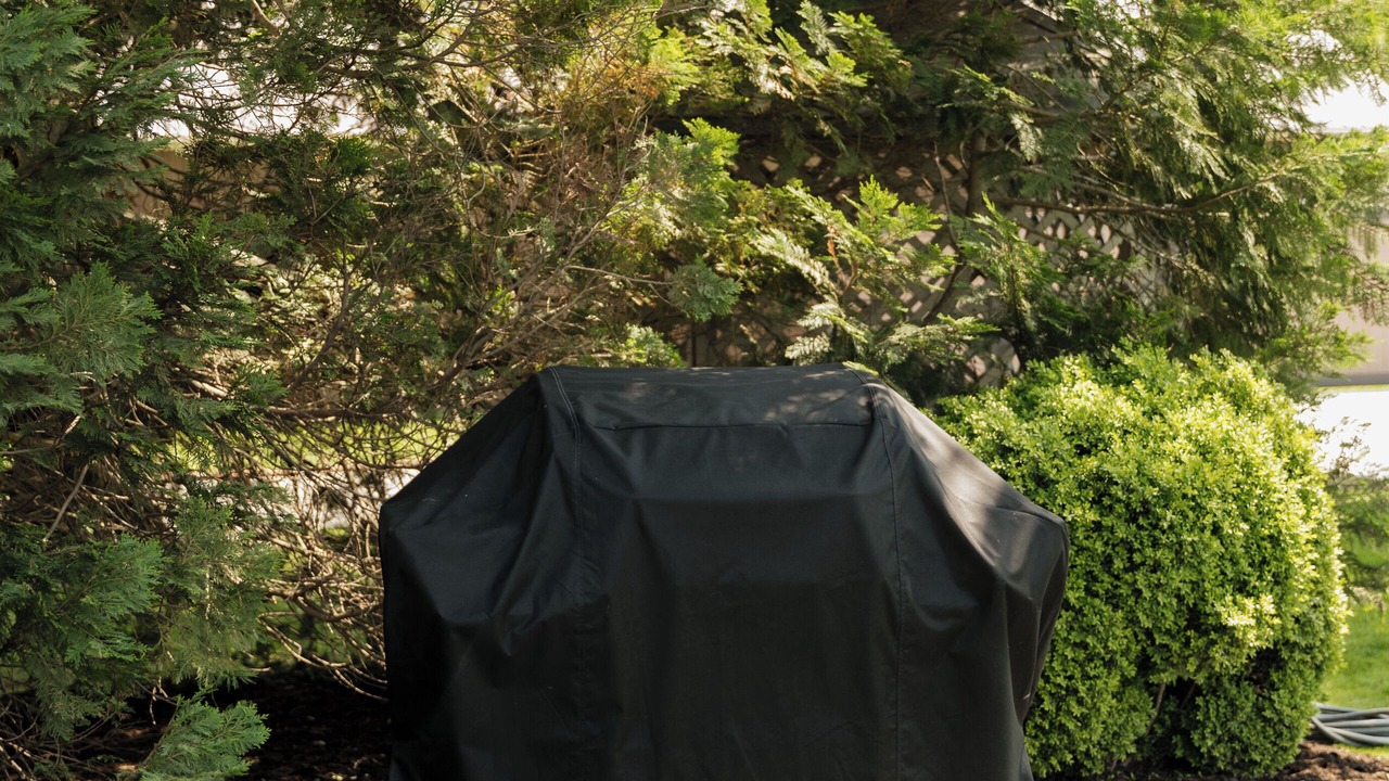 Photo of Outdoor in Paradise