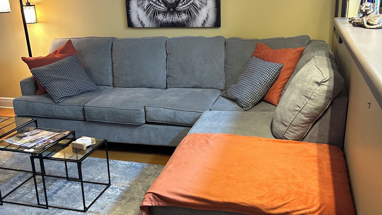 Photo of Livingroom in Auburn
