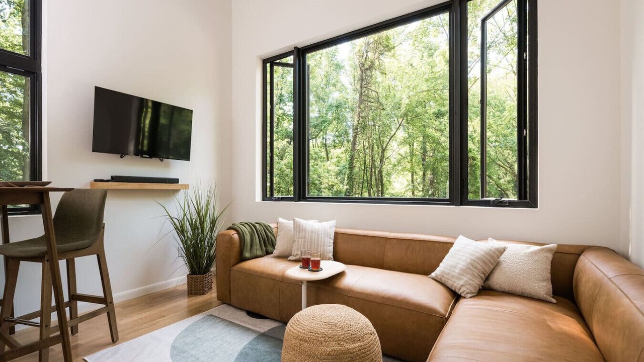 Photo of Livingroom in Asheville