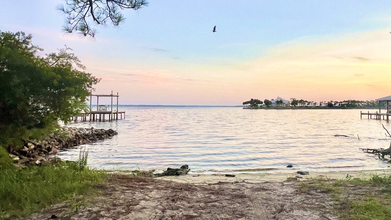 Photo of Others in Sunset Bayou