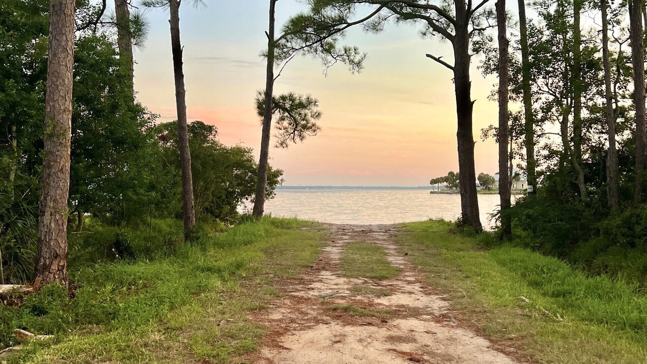 Photo of Others in Sunset Bayou