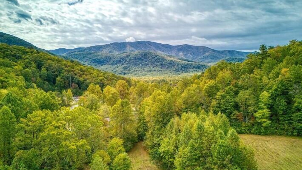 Photo of Outdoor in Cosby