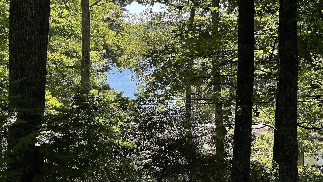 Photo of Others in Lake Toxaway