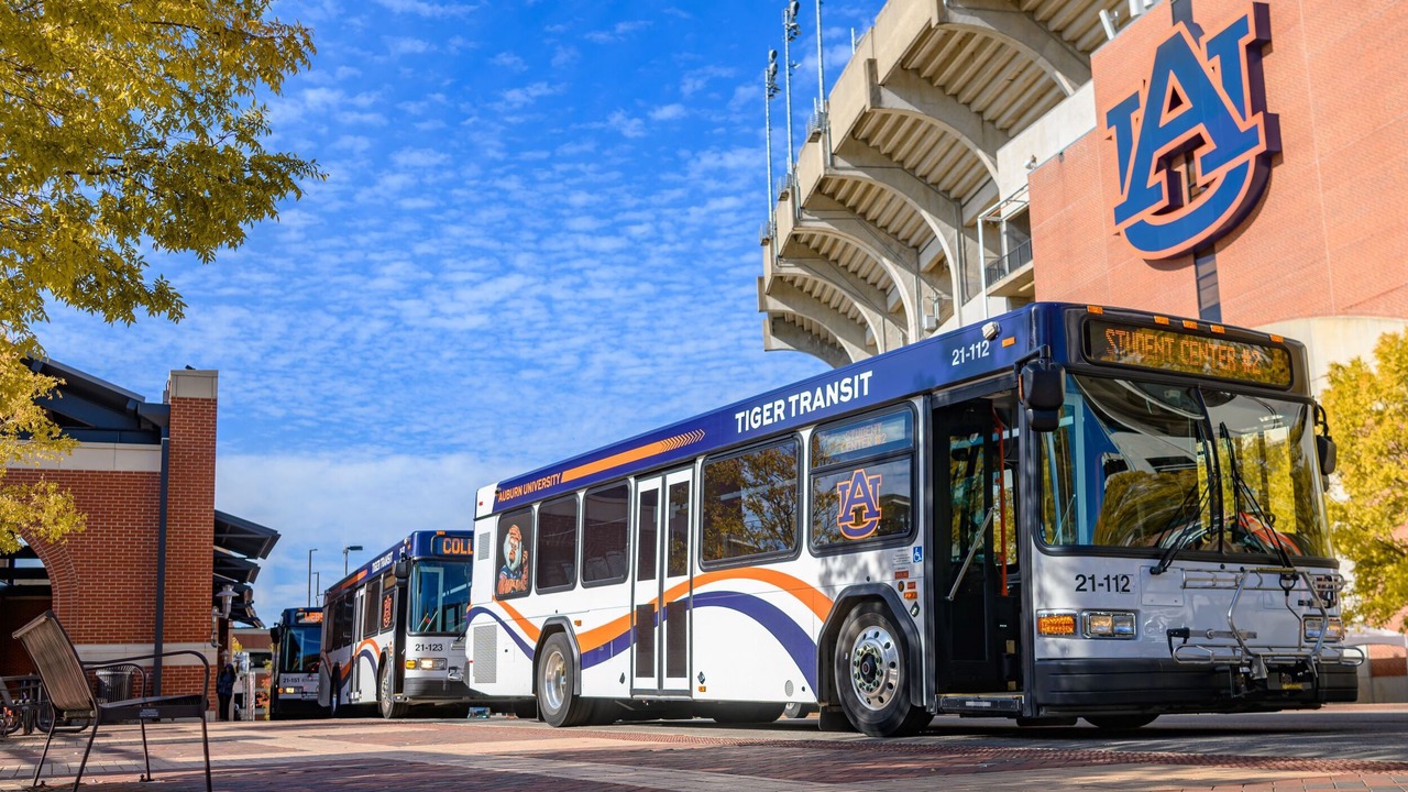 Photo of Others in Auburn