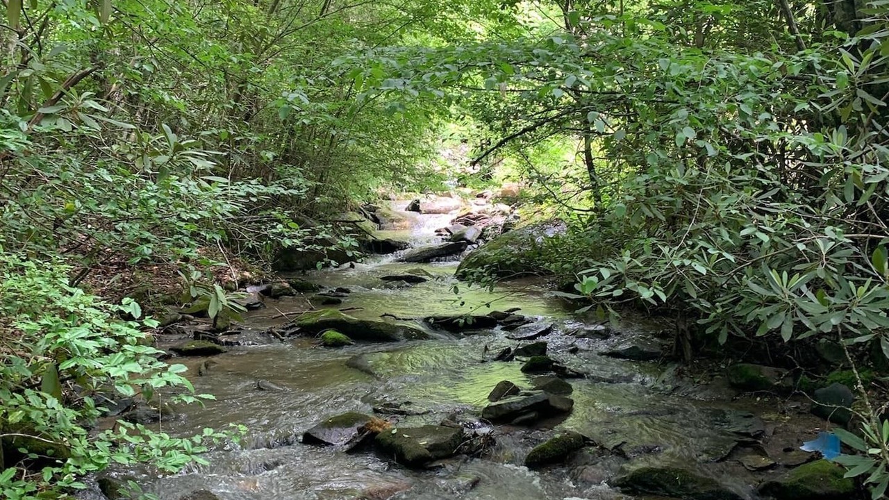 Photo of Outdoor in Cosby
