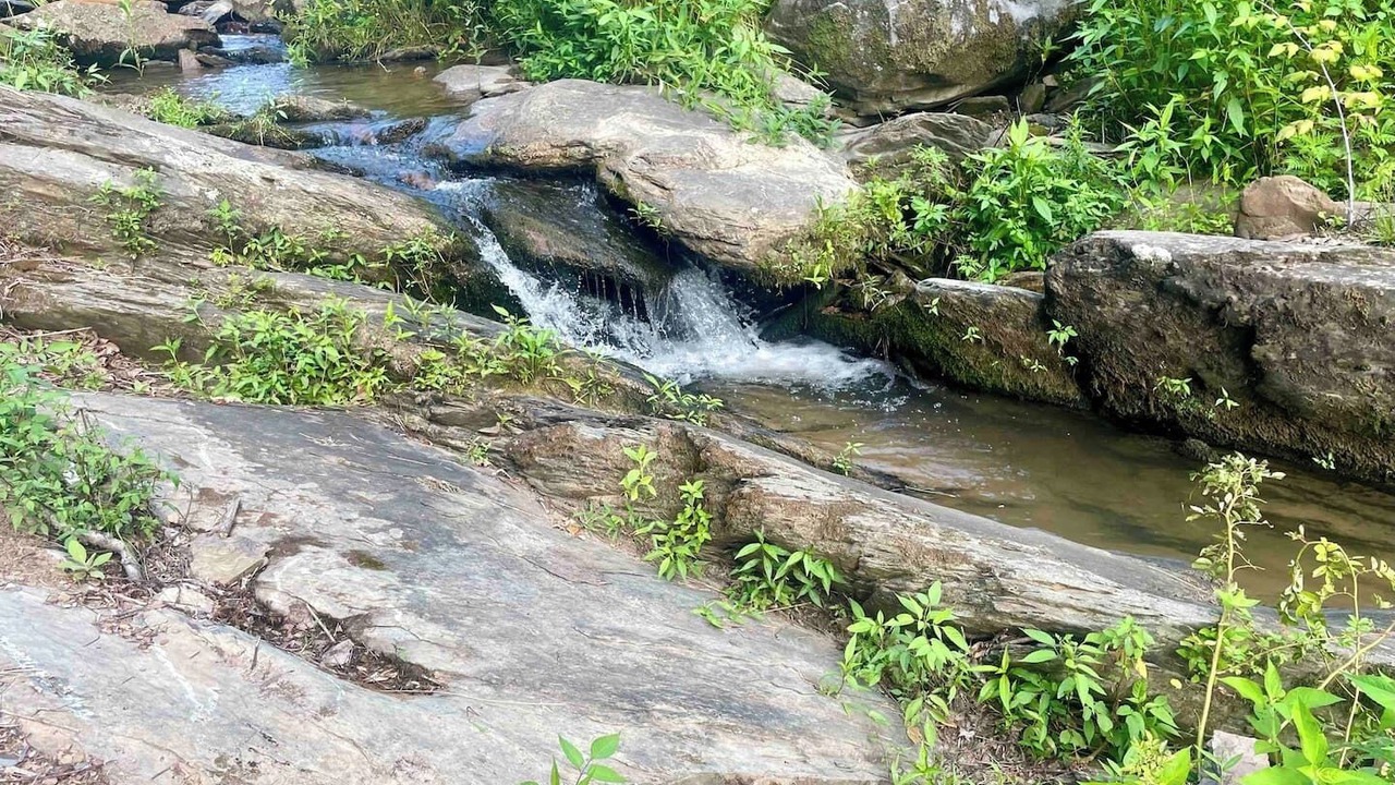 Photo of Outdoor in Cosby