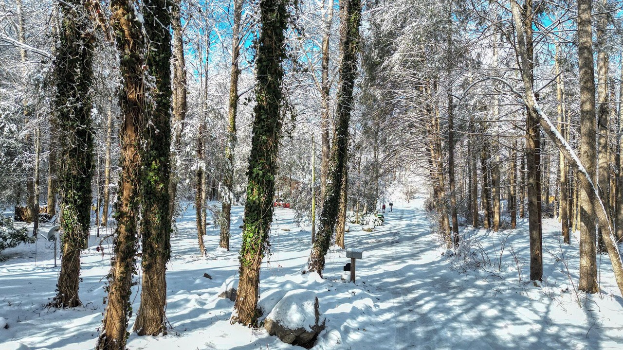Photo of Others in Rocky Grove