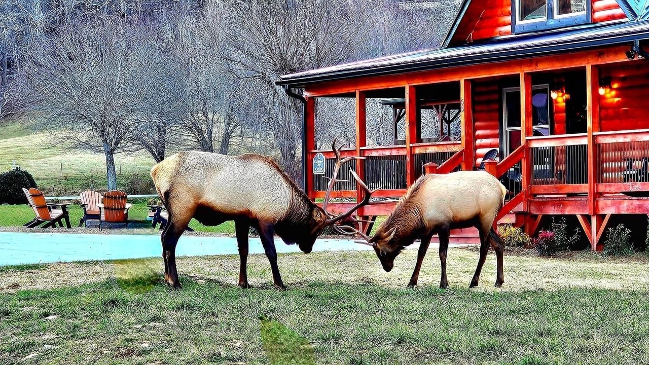 Photo of Others in Maggie Valley