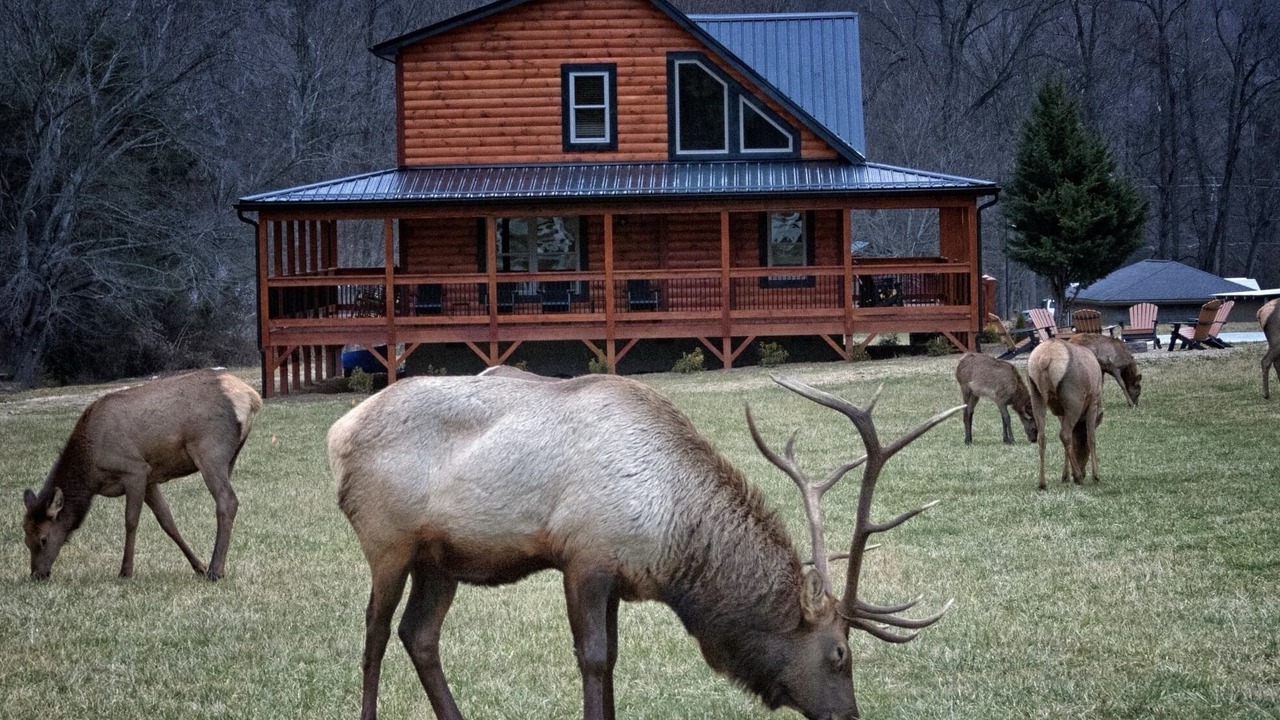Photo of Others in Maggie Valley