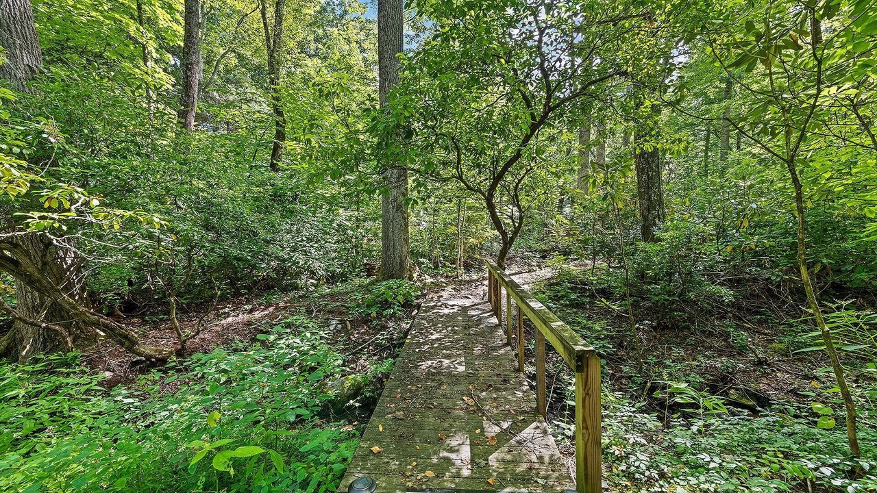 Photo of Outdoor in Maggie Valley