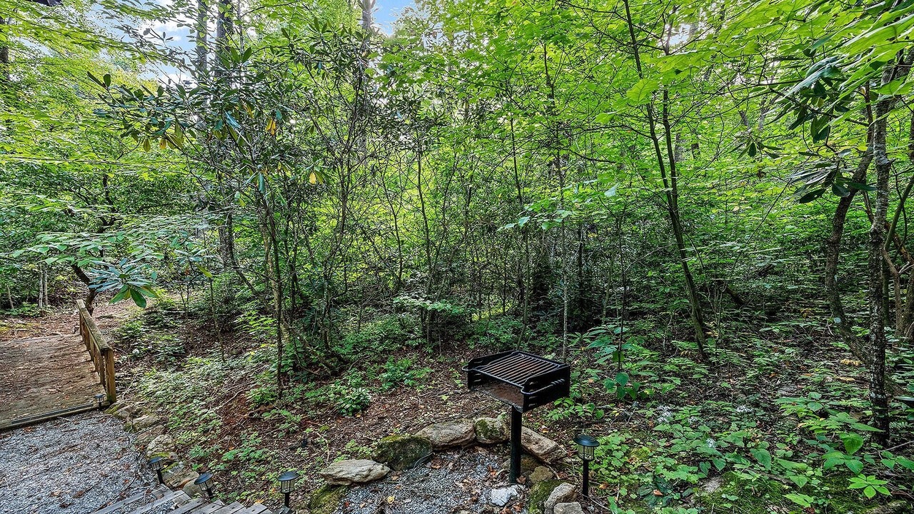 Photo of Outdoor in Maggie Valley