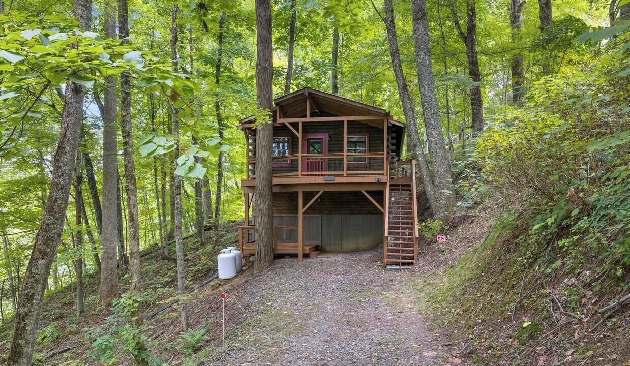 Photo of Outdoor in Mars Hill