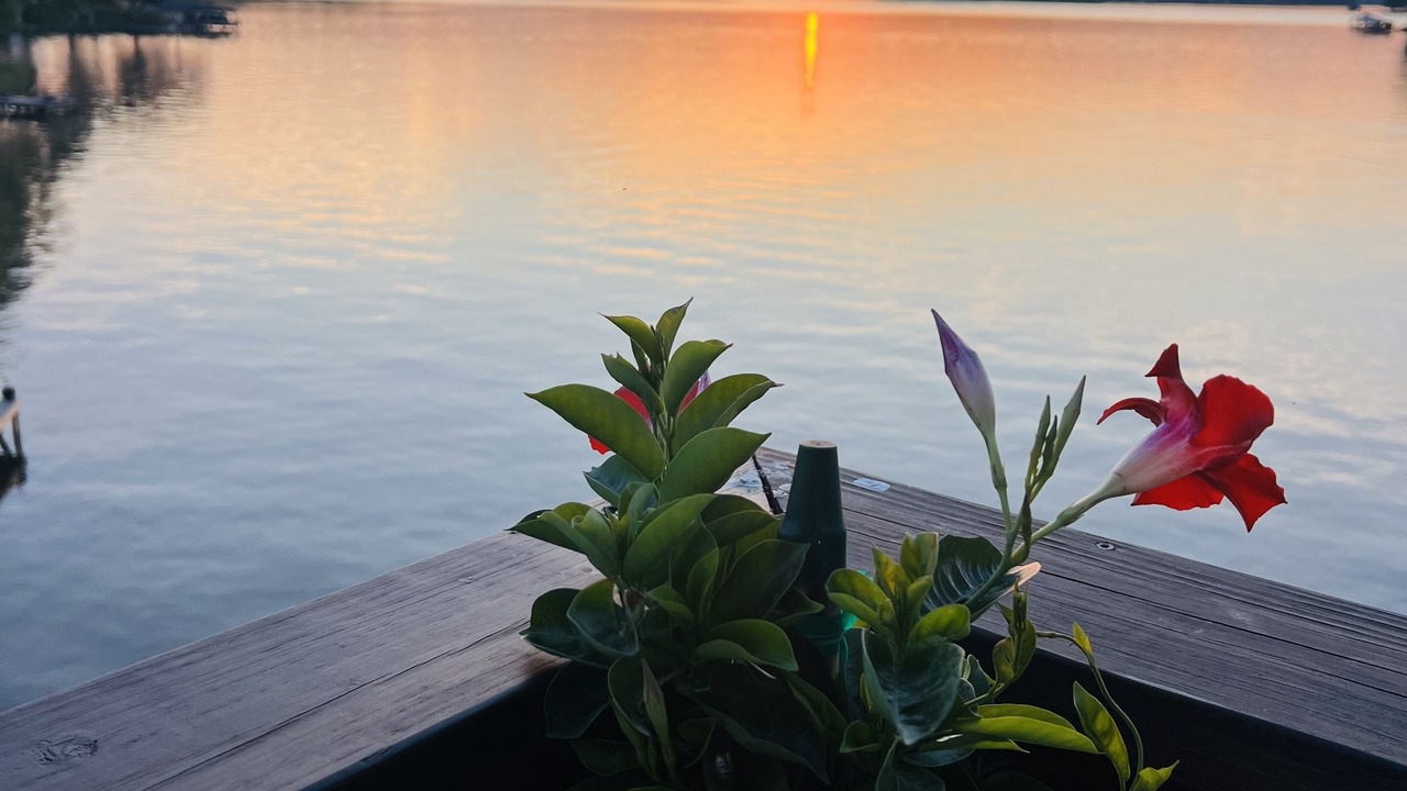 Photo of Outdoor in Milledgeville