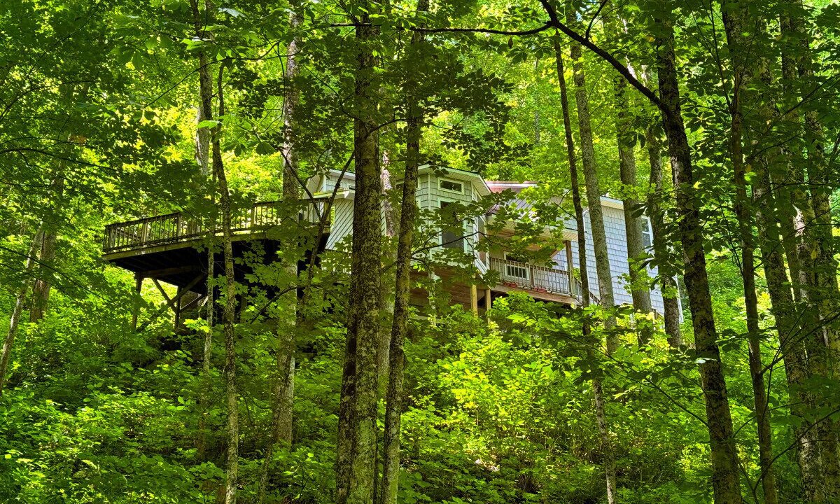 Photo of Outdoor in Hot Springs