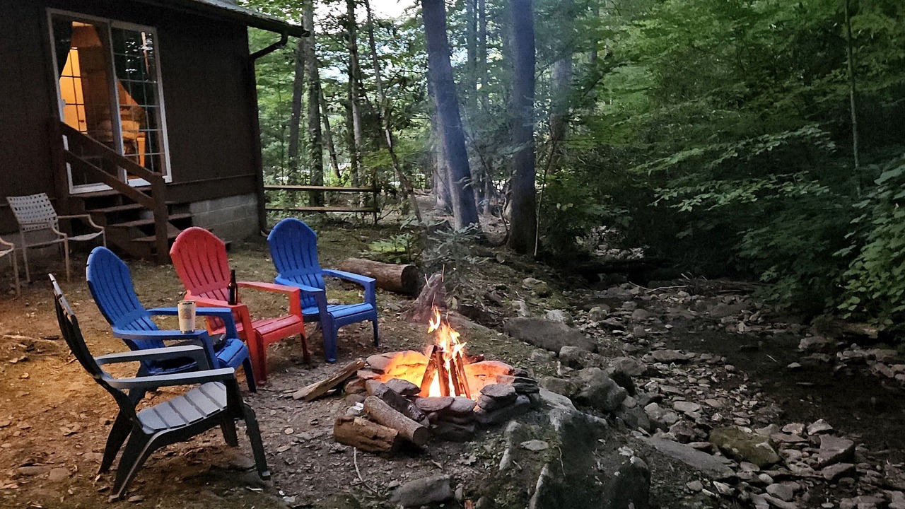 Photo of Outdoor in Sherwood Forest