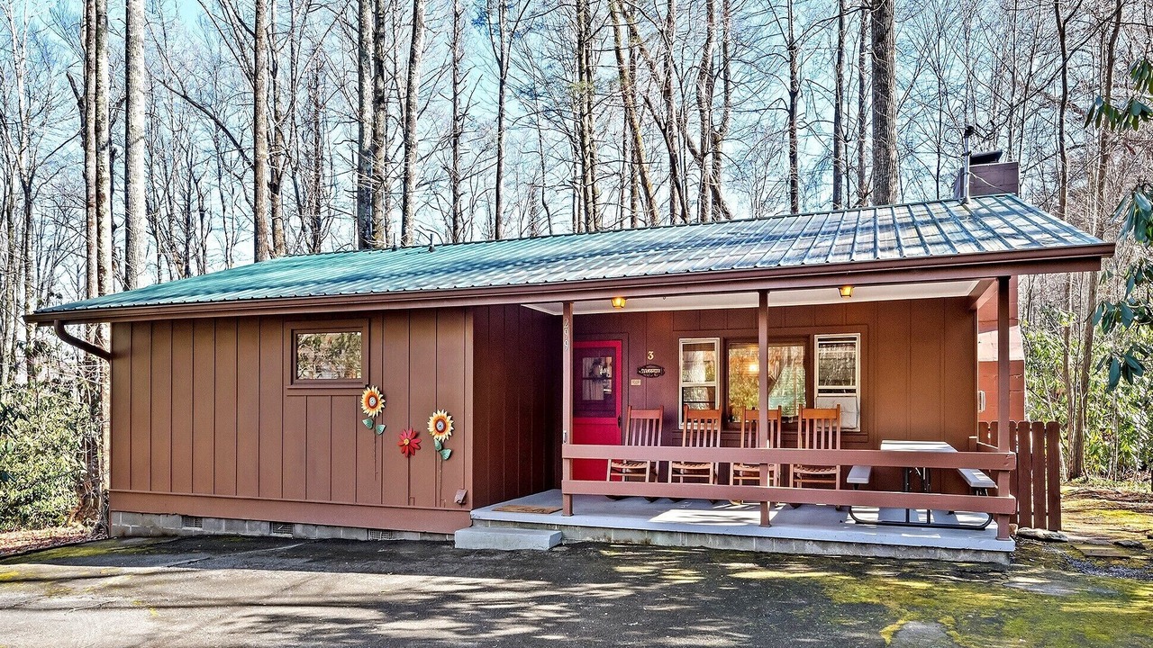 Photo of Outdoor in Sherwood Forest