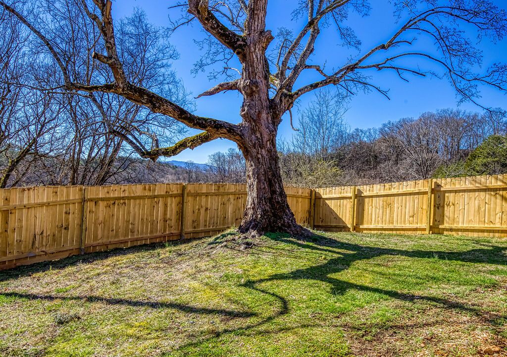 Photo of Outdoor in Kodak