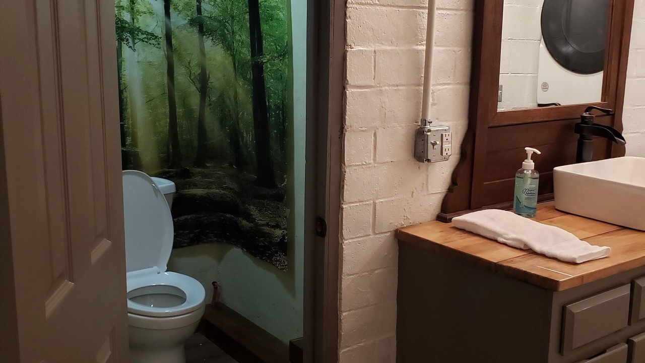 Photo of Bathroom in Guntersville