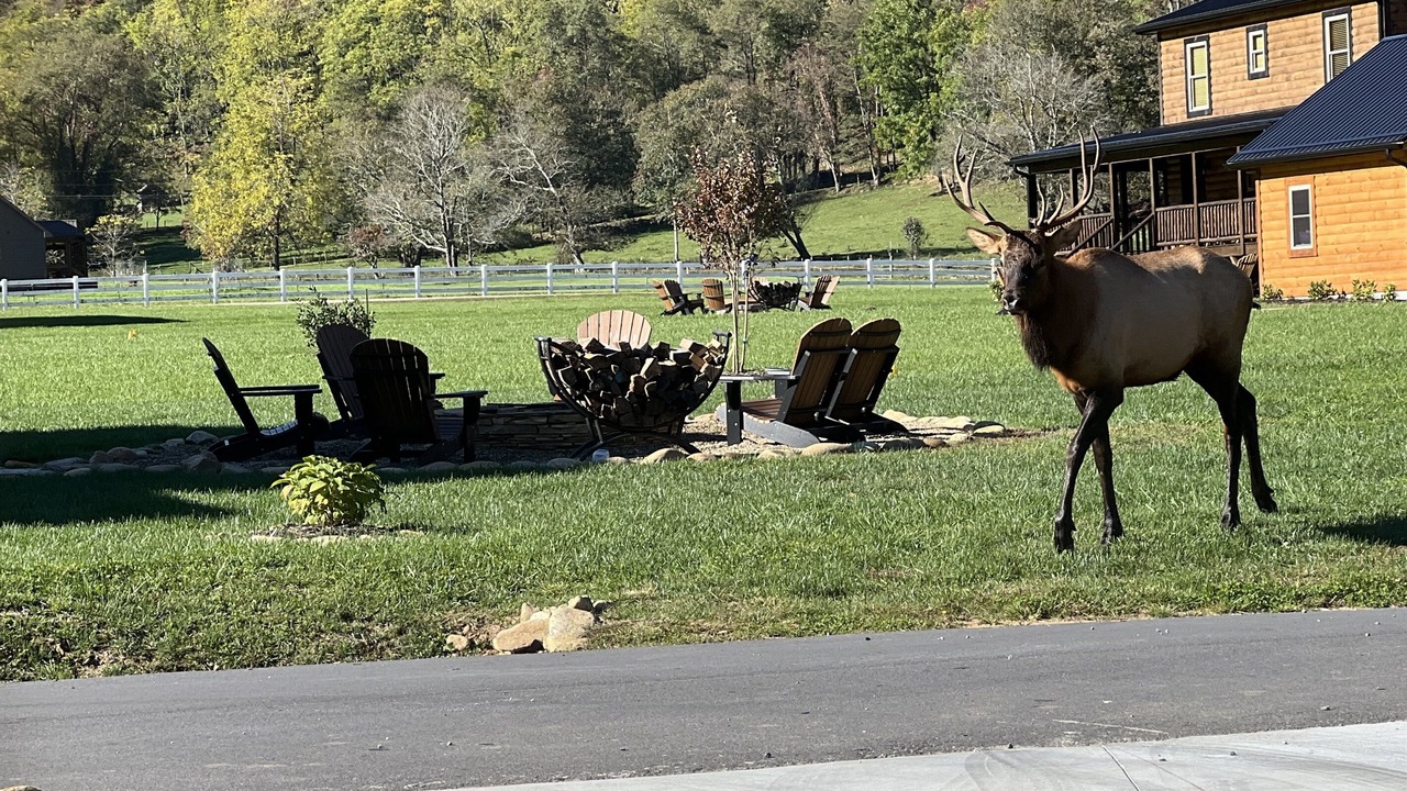 Photo of Others in Maggie Valley