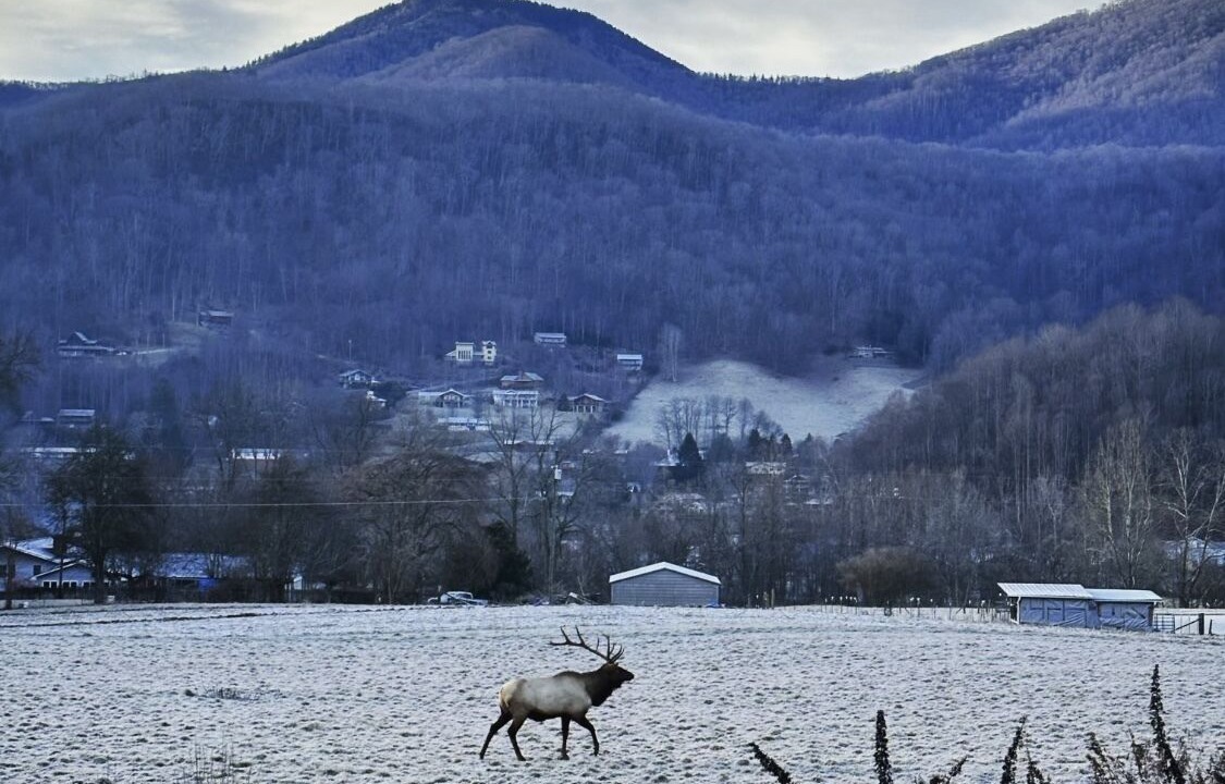 Photo of Others in Maggie Valley