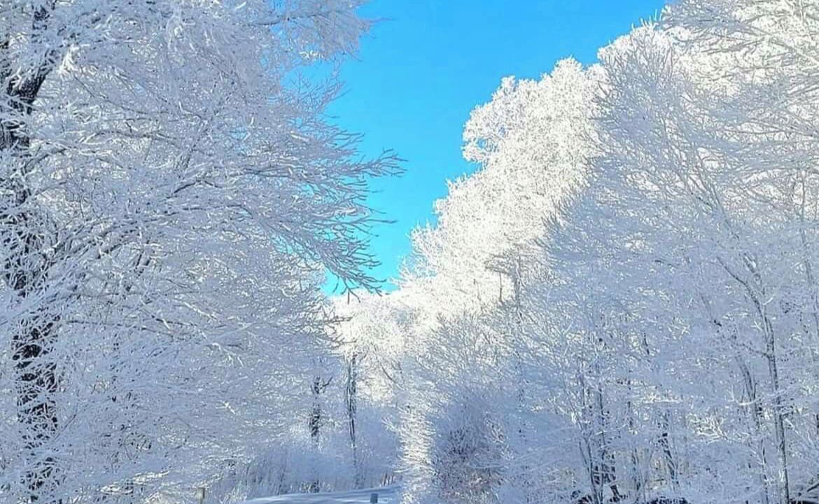 Photo of Others in Sugar Mountain