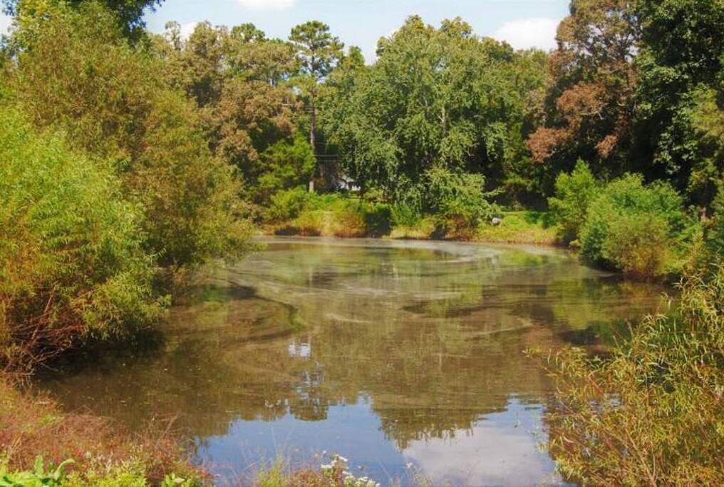 Photo of Others in Houston County