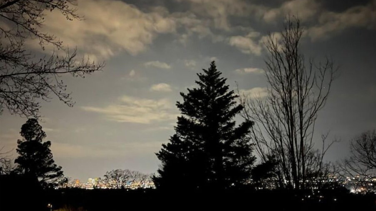 Photo of Others in Crestwood South