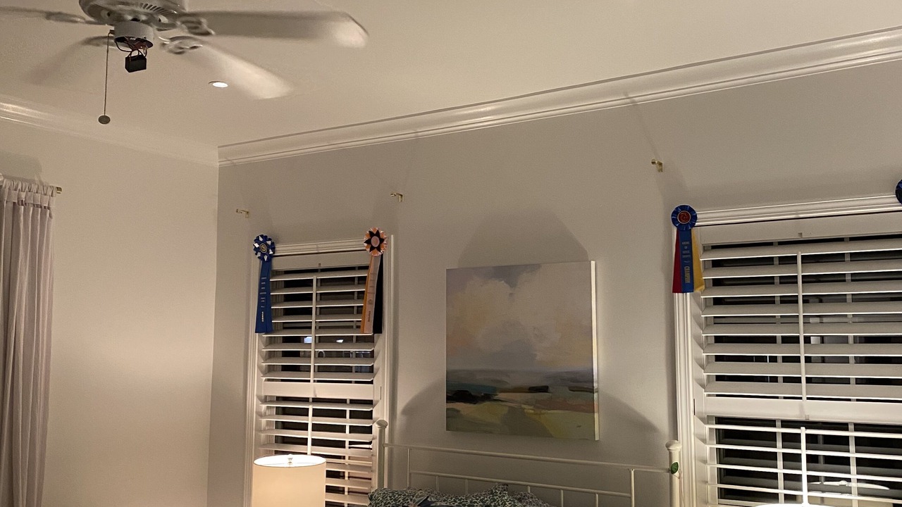 Photo of Bedroom in Daphne