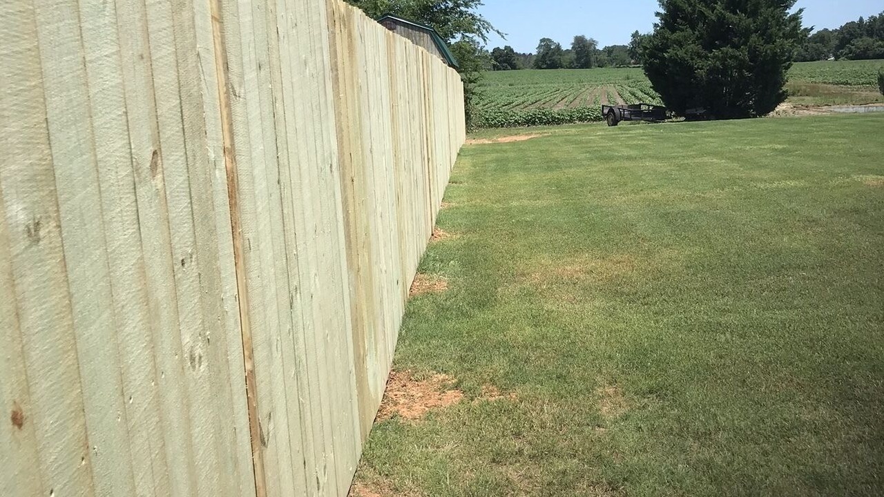 Photo of Outdoor in Normal